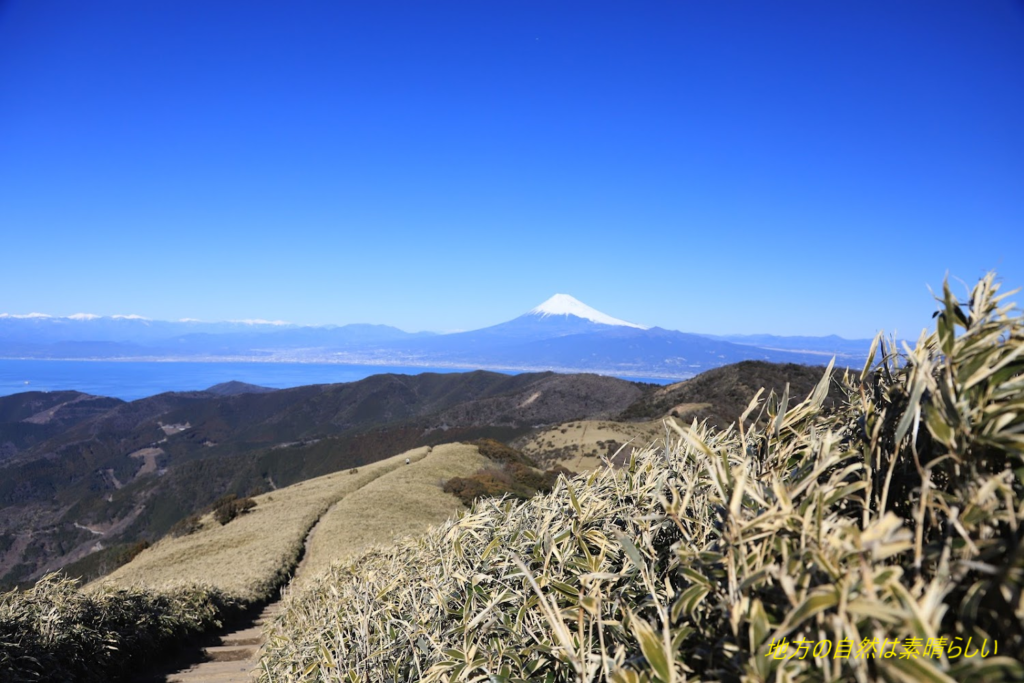 達磨山