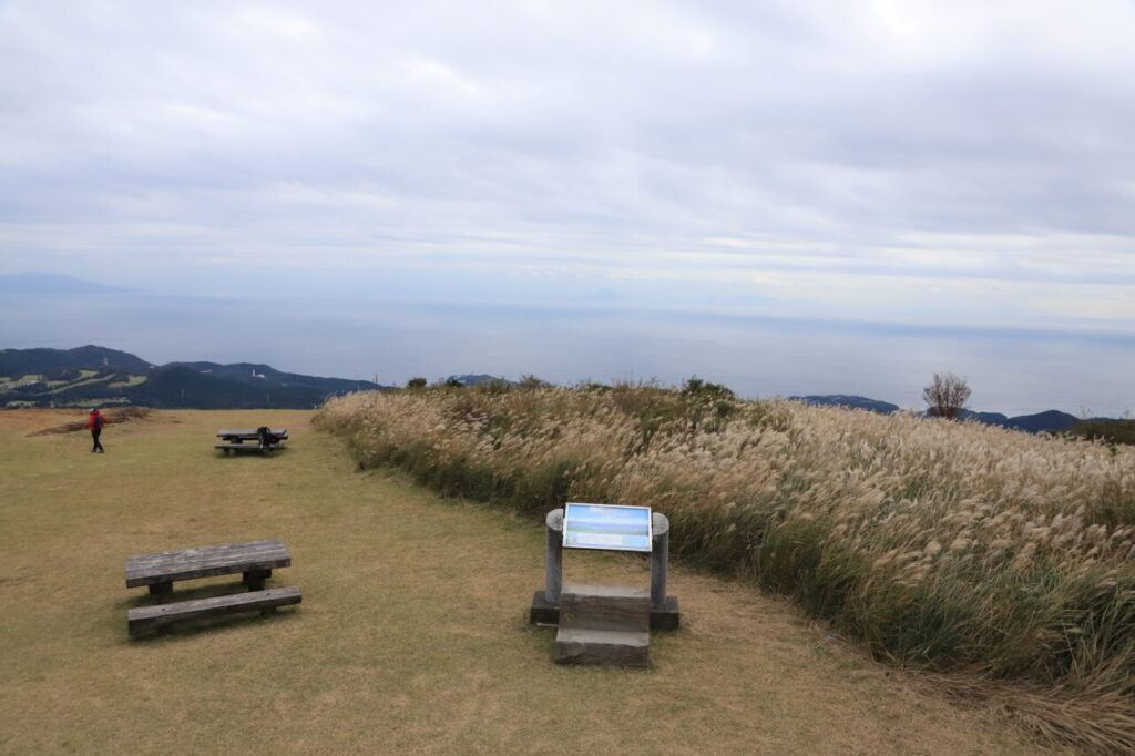 すすき鑑賞会