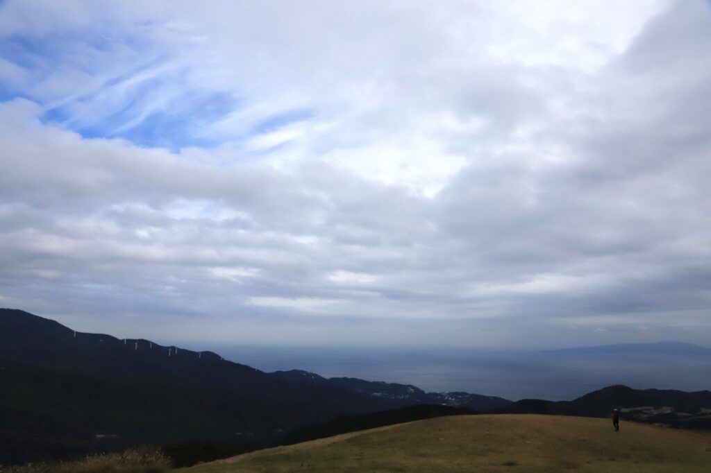 すすき鑑賞会