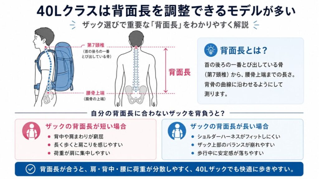 背面長の説明