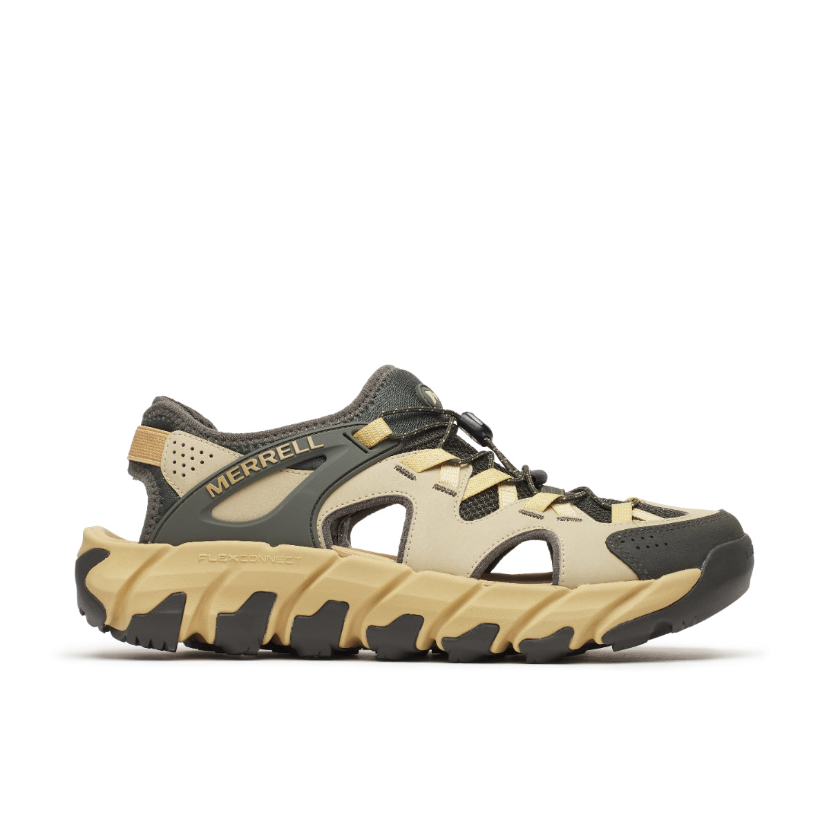 マイポ エクスプローラー シーブ